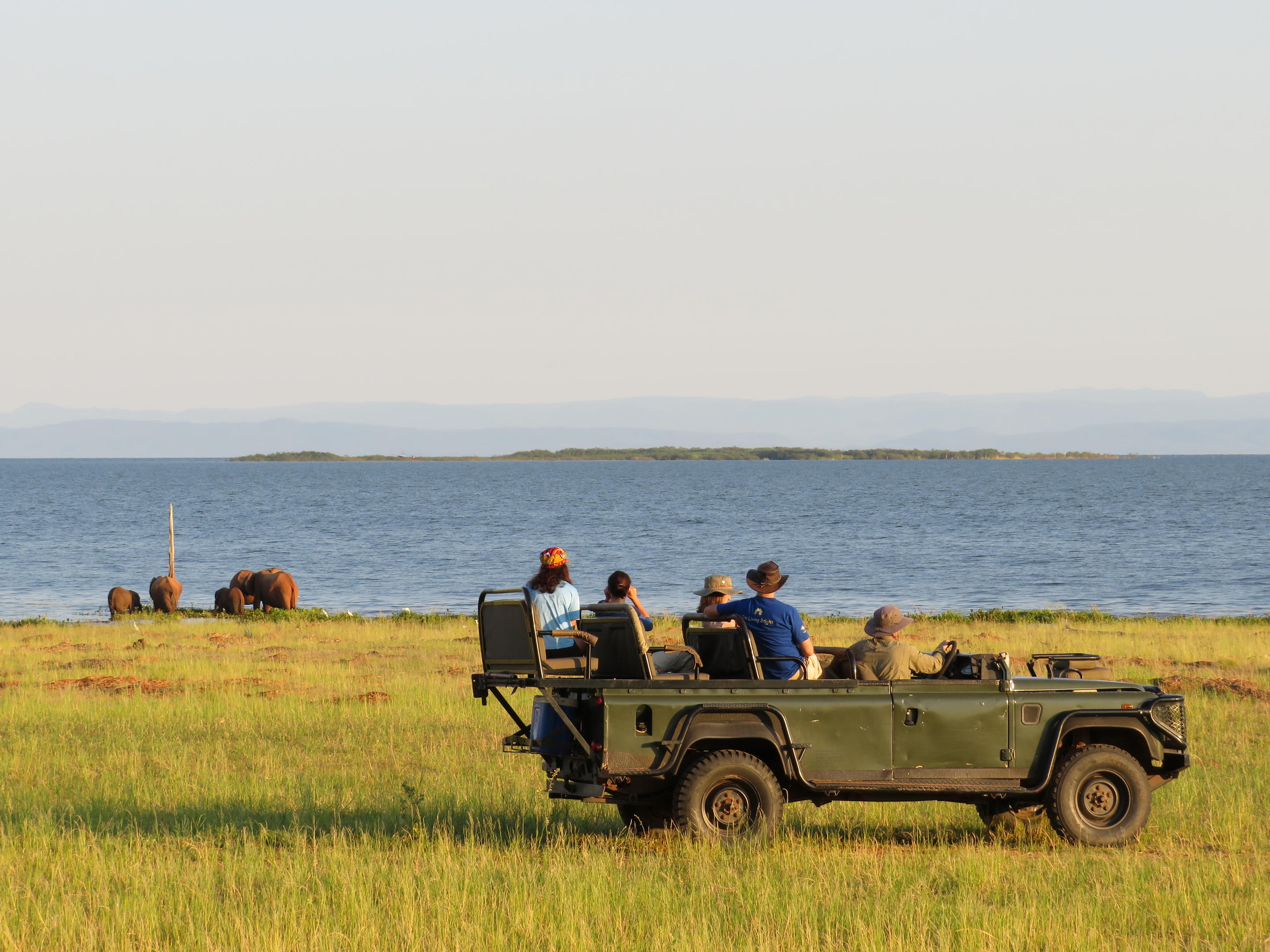 Rhino Safari Camp